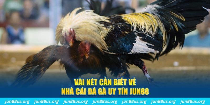 da ga 88 trò máy bay nổ hũ